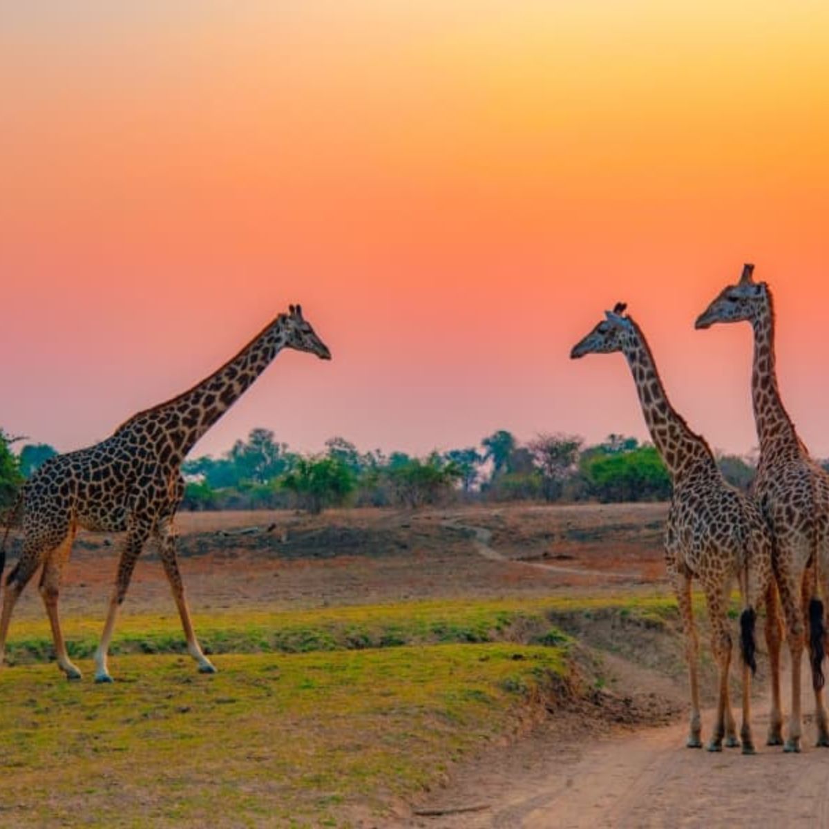 Kenya